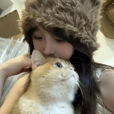 天食向日葵